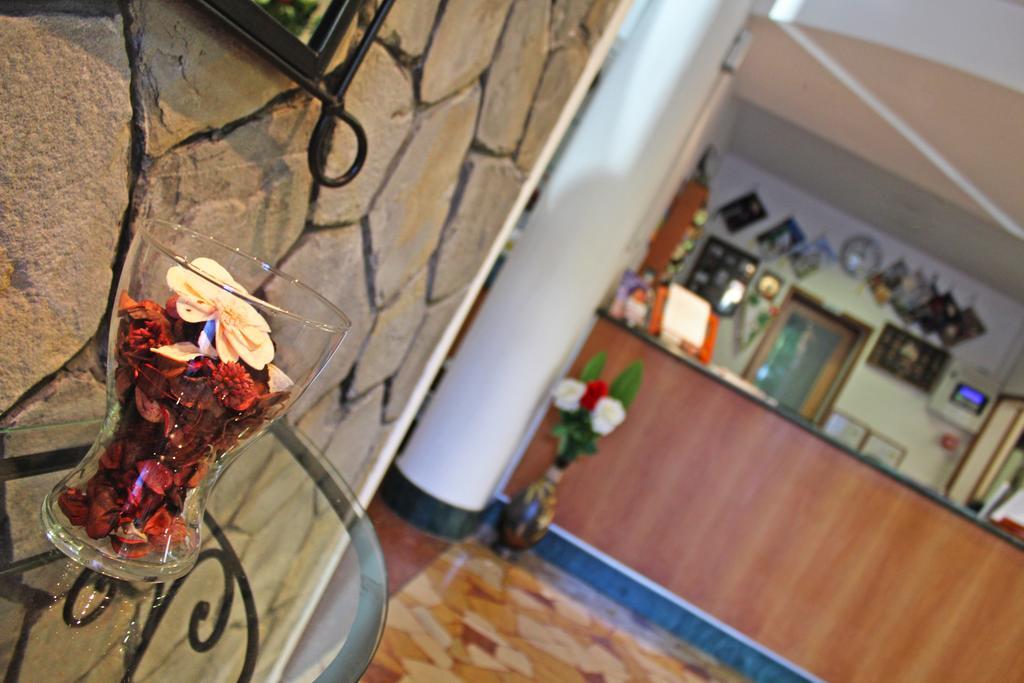 Hotel New Primula Rimini Zewnętrze zdjęcie