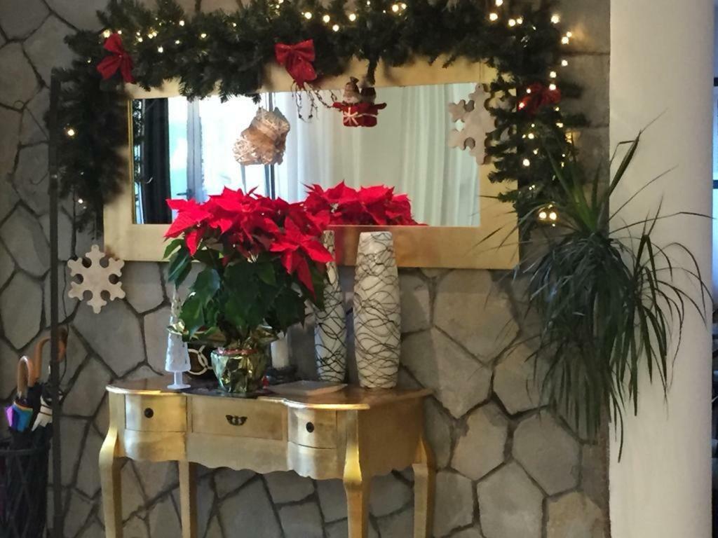 Hotel New Primula Rimini Zewnętrze zdjęcie